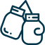 boxing-gloves Boxing Icon